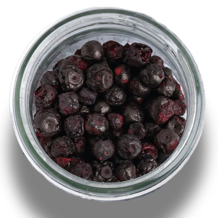 Gefriergetrocknete Heidelbeeren BIO Glas 40g