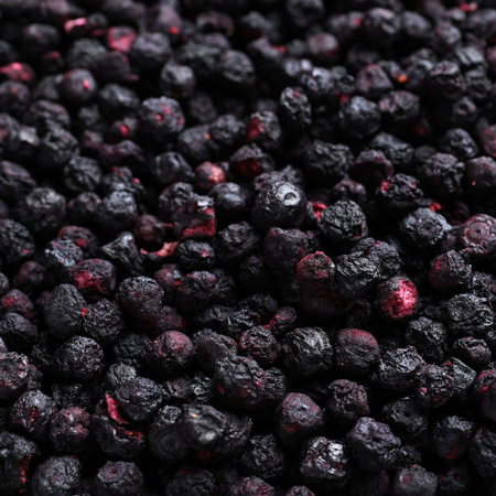 Bio ganze gefriergetrocknete Heidelbeeren Doypack 100g