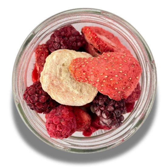 Gefriergetrocknete Fruchtmischung, Glas 35 g
